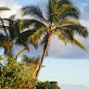 Meet your Posher, Jan